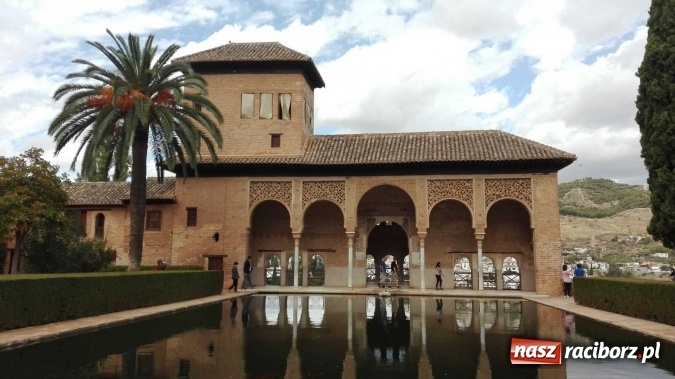 Zdjęcie w galerii na portalu naszraciborz.pl: W słonecznej Andaluzji, czyli raciborzanie na praktykach w Hiszpanii wiadomości z regionu