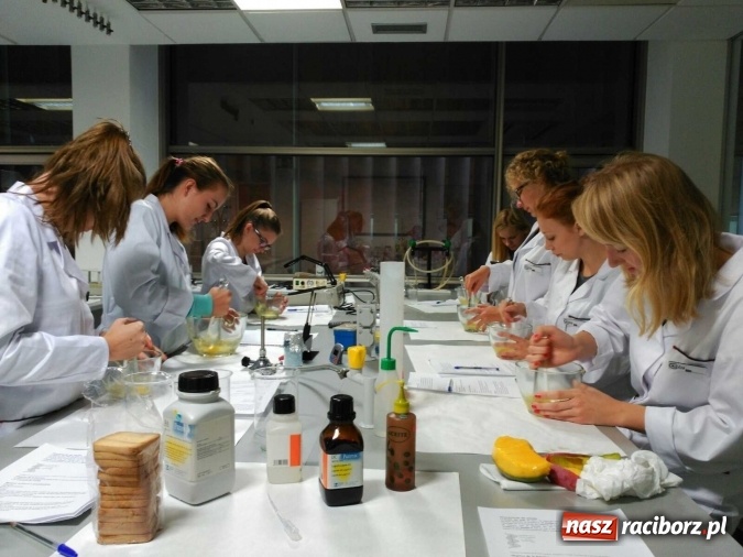 Zdjęcie w galerii na portalu naszraciborz.pl: W słonecznej Andaluzji, czyli raciborzanie na praktykach w Hiszpanii wiadomości z regionu