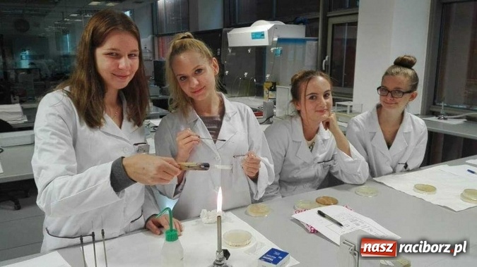 Zdjęcie w galerii na portalu naszraciborz.pl: W słonecznej Andaluzji, czyli raciborzanie na praktykach w Hiszpanii wiadomości z regionu