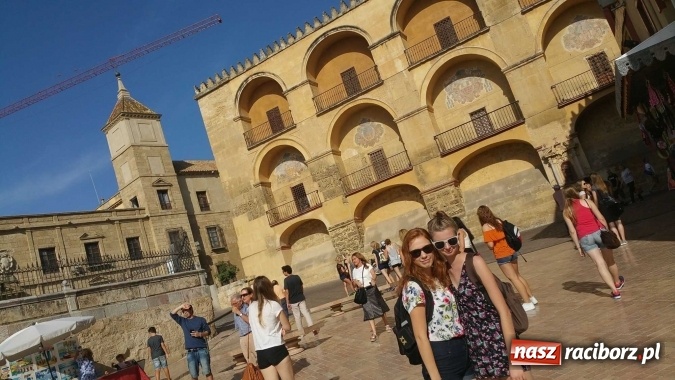 Zdjęcie w galerii na portalu naszraciborz.pl: W słonecznej Andaluzji, czyli raciborzanie na praktykach w Hiszpanii wiadomości z regionu