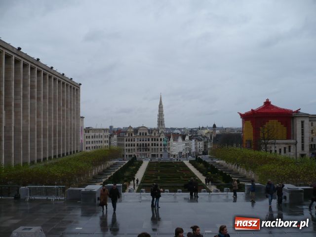 Zdjęcie w galerii na portalu naszraciborz.pl: Młodzież w Brukseli wiadomości z regionu