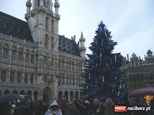 Zdjęcie w galerii na portalu naszraciborz.pl: Młodzież w Brukseli wiadomości z regionu