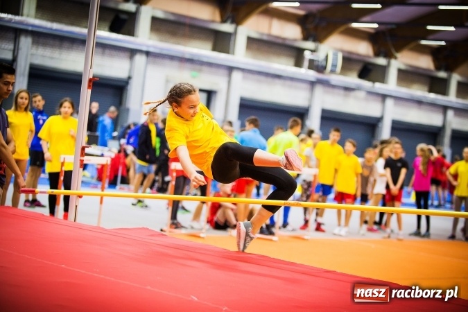 Zdjęcie w galerii na portalu naszraciborz.pl: Drugi dzień Halowych Mistrzostw Raciborza w Lekkiej Atletyce wiadomości z regionu
