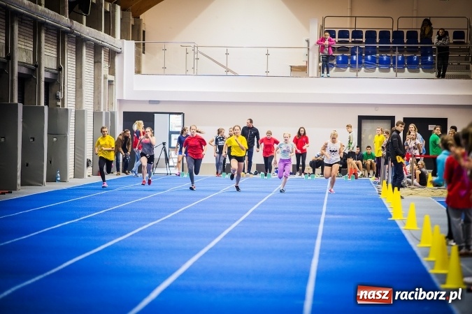 Zdjęcie w galerii na portalu naszraciborz.pl: Drugi dzień Halowych Mistrzostw Raciborza w Lekkiej Atletyce wiadomości z regionu