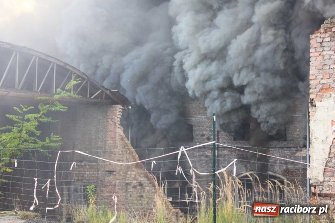 Zdjęcie w galerii na portalu naszraciborz.pl: Ogromny pożar hali przy ul. Zakładowej w Raciborzu Brzeziu. Byliśmy na miejscu od początku akcji. FOTO I WIDEO wiadomości z regionu