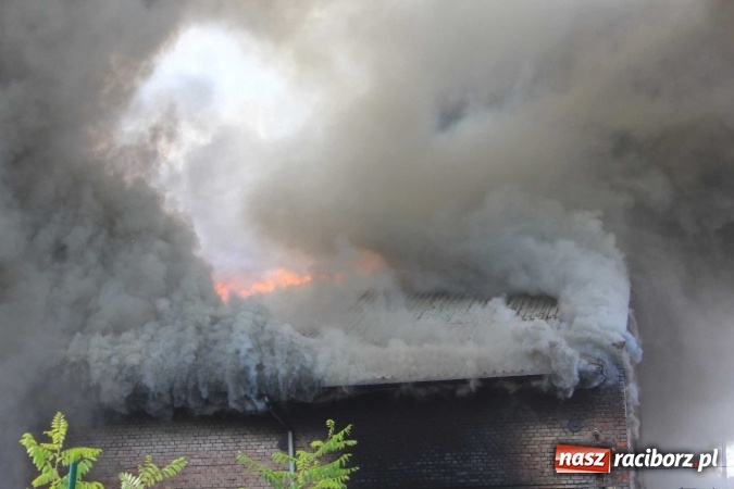 Zdjęcie w galerii na portalu naszraciborz.pl: Ogromny pożar hali przy ul. Zakładowej w Raciborzu Brzeziu. Byliśmy na miejscu od początku akcji. FOTO I WIDEO wiadomości z regionu