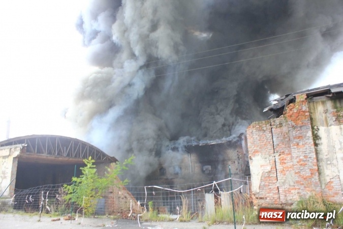 Zdjęcie w galerii na portalu naszraciborz.pl: Ogromny pożar hali przy ul. Zakładowej w Raciborzu Brzeziu. Byliśmy na miejscu od początku akcji. FOTO I WIDEO wiadomości z regionu