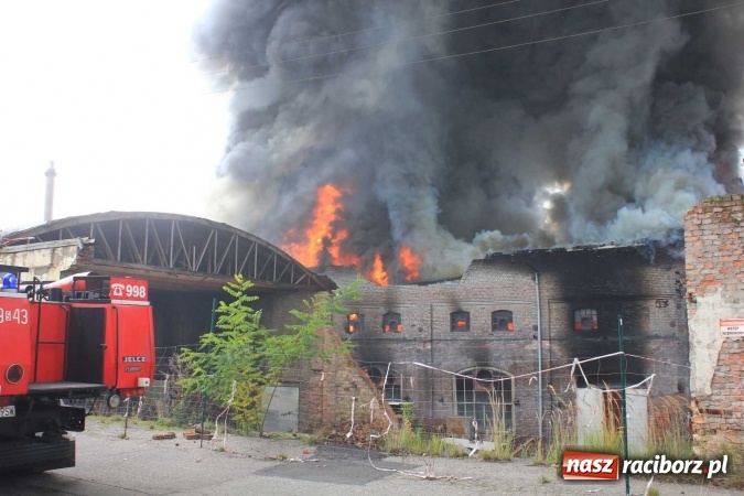 Zdjęcie w galerii na portalu naszraciborz.pl: Ogromny pożar hali przy ul. Zakładowej w Raciborzu Brzeziu. Byliśmy na miejscu od początku akcji. FOTO I WIDEO wiadomości z regionu