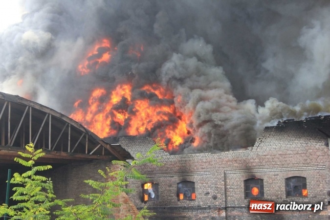 Zdjęcie w galerii na portalu naszraciborz.pl: Ogromny pożar hali przy ul. Zakładowej w Raciborzu Brzeziu. Byliśmy na miejscu od początku akcji. FOTO I WIDEO wiadomości z regionu