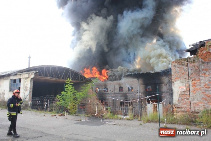 Zdjęcie w galerii na portalu naszraciborz.pl: Ogromny pożar hali przy ul. Zakładowej w Raciborzu Brzeziu. Byliśmy na miejscu od początku akcji. FOTO I WIDEO wiadomości z regionu