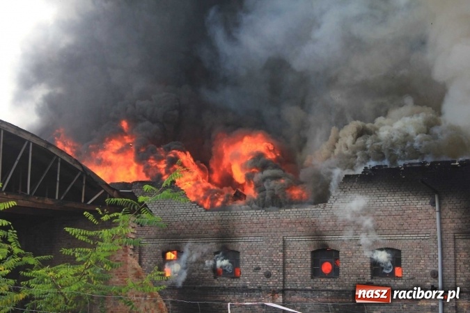 Zdjęcie w galerii na portalu naszraciborz.pl: Ogromny pożar hali przy ul. Zakładowej w Raciborzu Brzeziu. Byliśmy na miejscu od początku akcji. FOTO I WIDEO wiadomości z regionu
