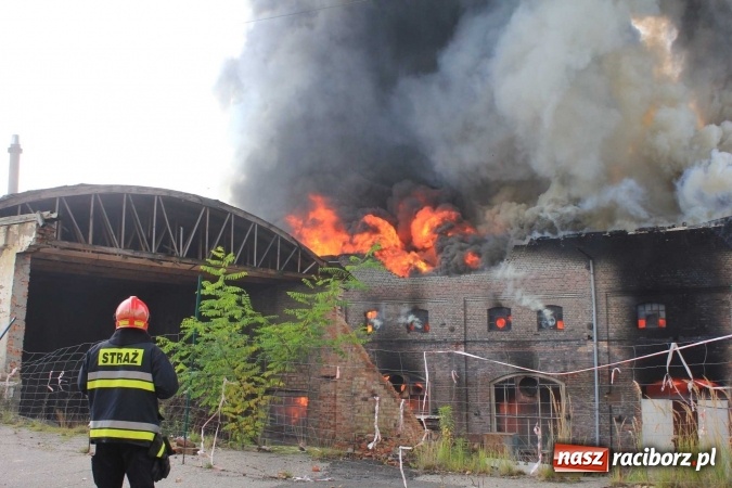 Zdjęcie w galerii na portalu naszraciborz.pl: Ogromny pożar hali przy ul. Zakładowej w Raciborzu Brzeziu. Byliśmy na miejscu od początku akcji. FOTO I WIDEO wiadomości z regionu