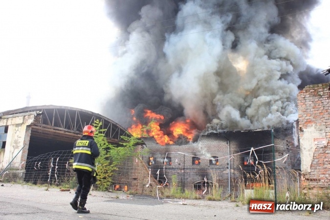 Zdjęcie w galerii na portalu naszraciborz.pl: Ogromny pożar hali przy ul. Zakładowej w Raciborzu Brzeziu. Byliśmy na miejscu od początku akcji. FOTO I WIDEO wiadomości z regionu
