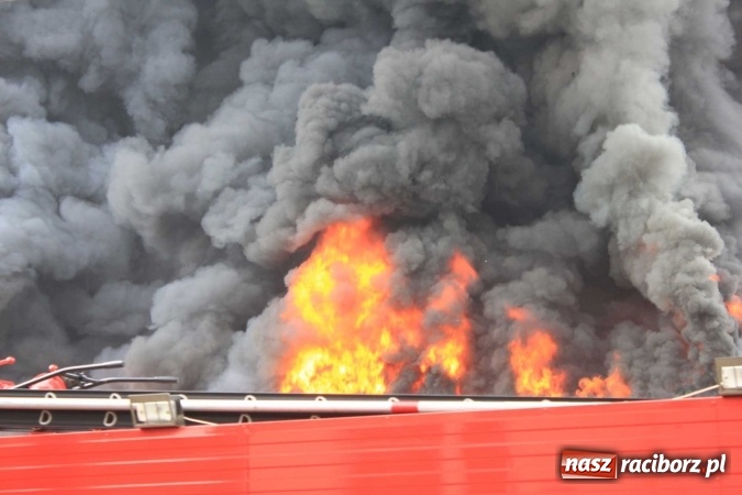 Zdjęcie w galerii na portalu naszraciborz.pl: Ogromny pożar hali przy ul. Zakładowej w Raciborzu Brzeziu. Byliśmy na miejscu od początku akcji. FOTO I WIDEO wiadomości z regionu
