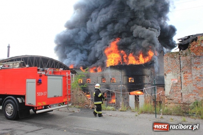Zdjęcie w galerii na portalu naszraciborz.pl: Ogromny pożar hali przy ul. Zakładowej w Raciborzu Brzeziu. Byliśmy na miejscu od początku akcji. FOTO I WIDEO wiadomości z regionu