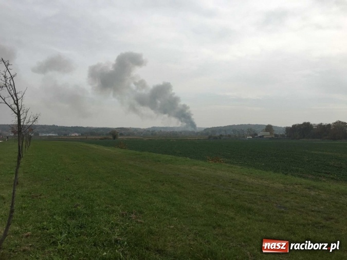Zdjęcie w galerii na portalu naszraciborz.pl: Ogromny pożar hali przy ul. Zakładowej w Raciborzu Brzeziu. Byliśmy na miejscu od początku akcji. FOTO I WIDEO wiadomości z regionu
