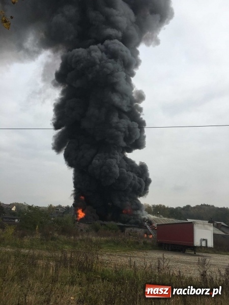 Zdjęcie w galerii na portalu naszraciborz.pl: Ogromny pożar hali przy ul. Zakładowej w Raciborzu Brzeziu. Byliśmy na miejscu od początku akcji. FOTO I WIDEO wiadomości z regionu