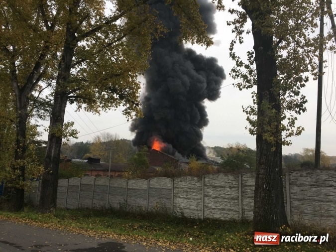 Zdjęcie w galerii na portalu naszraciborz.pl: Ogromny pożar hali przy ul. Zakładowej w Raciborzu Brzeziu. Byliśmy na miejscu od początku akcji. FOTO I WIDEO wiadomości z regionu