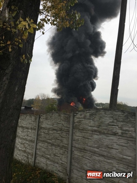 Zdjęcie w galerii na portalu naszraciborz.pl: Ogromny pożar hali przy ul. Zakładowej w Raciborzu Brzeziu. Byliśmy na miejscu od początku akcji. FOTO I WIDEO wiadomości z regionu