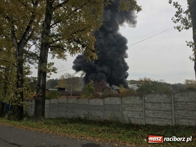 Zdjęcie w galerii na portalu naszraciborz.pl: Ogromny pożar hali przy ul. Zakładowej w Raciborzu Brzeziu. Byliśmy na miejscu od początku akcji. FOTO I WIDEO wiadomości z regionu