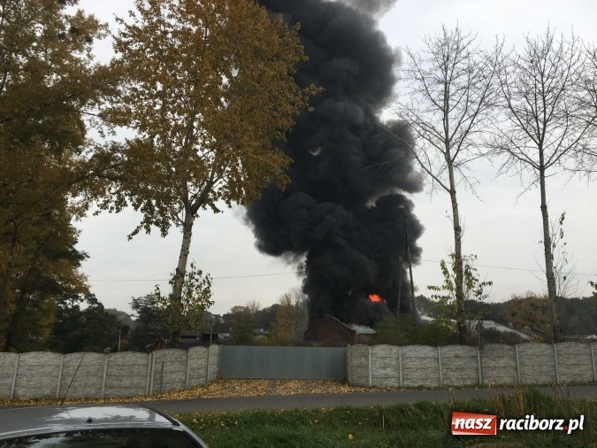 Zdjęcie w galerii na portalu naszraciborz.pl: Ogromny pożar hali przy ul. Zakładowej w Raciborzu Brzeziu. Byliśmy na miejscu od początku akcji. FOTO I WIDEO wiadomości z regionu