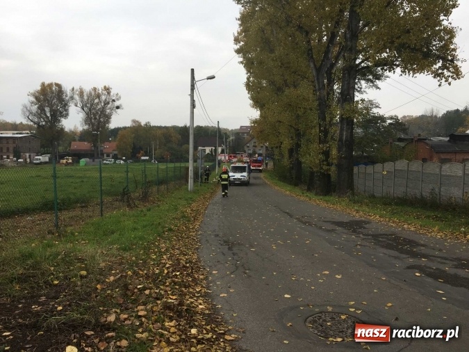 Zdjęcie w galerii na portalu naszraciborz.pl: Ogromny pożar hali przy ul. Zakładowej w Raciborzu Brzeziu. Byliśmy na miejscu od początku akcji. FOTO I WIDEO wiadomości z regionu
