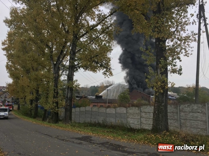 Zdjęcie w galerii na portalu naszraciborz.pl: Ogromny pożar hali przy ul. Zakładowej w Raciborzu Brzeziu. Byliśmy na miejscu od początku akcji. FOTO I WIDEO wiadomości z regionu