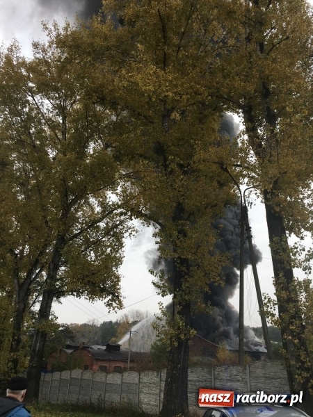 Zdjęcie w galerii na portalu naszraciborz.pl: Ogromny pożar hali przy ul. Zakładowej w Raciborzu Brzeziu. Byliśmy na miejscu od początku akcji. FOTO I WIDEO wiadomości z regionu