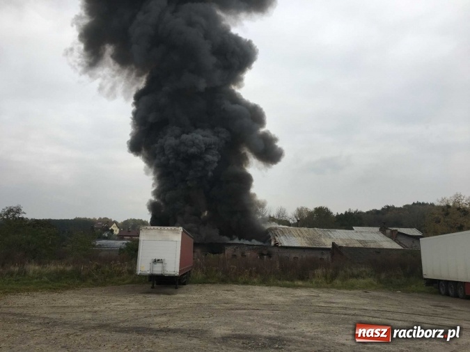 Zdjęcie w galerii na portalu naszraciborz.pl: Ogromny pożar hali przy ul. Zakładowej w Raciborzu Brzeziu. Byliśmy na miejscu od początku akcji. FOTO I WIDEO wiadomości z regionu