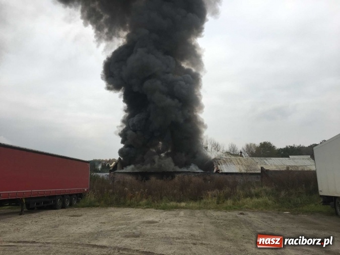 Zdjęcie w galerii na portalu naszraciborz.pl: Ogromny pożar hali przy ul. Zakładowej w Raciborzu Brzeziu. Byliśmy na miejscu od początku akcji. FOTO I WIDEO wiadomości z regionu
