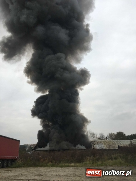 Zdjęcie w galerii na portalu naszraciborz.pl: Ogromny pożar hali przy ul. Zakładowej w Raciborzu Brzeziu. Byliśmy na miejscu od początku akcji. FOTO I WIDEO wiadomości z regionu