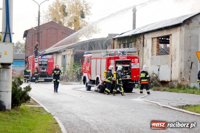 Zdjęcie w galerii na portalu naszraciborz.pl: Ogromny pożar hali przy ul. Zakładowej w Raciborzu Brzeziu. Byliśmy na miejscu od początku akcji. FOTO I WIDEO wiadomości z regionu