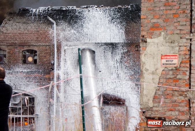 Zdjęcie w galerii na portalu naszraciborz.pl: Ogromny pożar hali przy ul. Zakładowej w Raciborzu Brzeziu. Byliśmy na miejscu od początku akcji. FOTO I WIDEO wiadomości z regionu