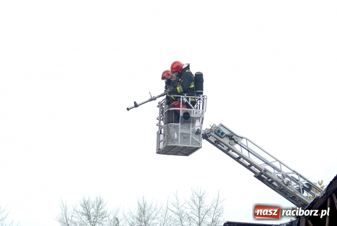 Zdjęcie w galerii na portalu naszraciborz.pl: Ogromny pożar hali przy ul. Zakładowej w Raciborzu Brzeziu. Byliśmy na miejscu od początku akcji. FOTO I WIDEO wiadomości z regionu