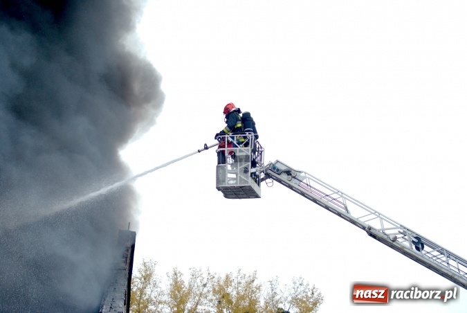Zdjęcie w galerii na portalu naszraciborz.pl: Ogromny pożar hali przy ul. Zakładowej w Raciborzu Brzeziu. Byliśmy na miejscu od początku akcji. FOTO I WIDEO wiadomości z regionu
