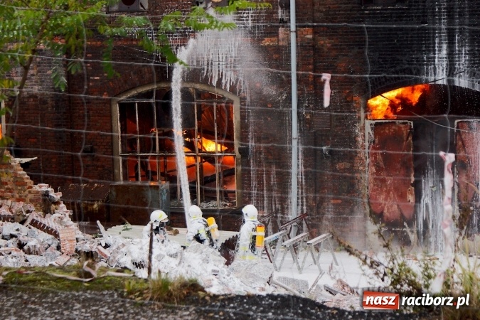 Zdjęcie w galerii na portalu naszraciborz.pl: Przy Zakładowej w Brzeziu płoną niebezpieczne odpady. Zwożono je tu od czerwca. Są tam m.in. maski przeciwgazowe FOTO wiadomości z regionu