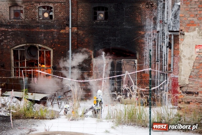 Zdjęcie w galerii na portalu naszraciborz.pl: Przy Zakładowej w Brzeziu płoną niebezpieczne odpady. Zwożono je tu od czerwca. Są tam m.in. maski przeciwgazowe FOTO wiadomości z regionu