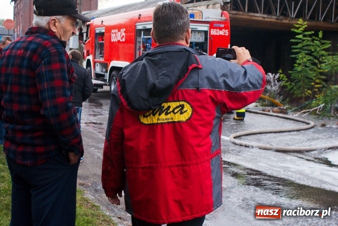 Zdjęcie w galerii na portalu naszraciborz.pl: Przy Zakładowej w Brzeziu płoną niebezpieczne odpady. Zwożono je tu od czerwca. Są tam m.in. maski przeciwgazowe FOTO wiadomości z regionu