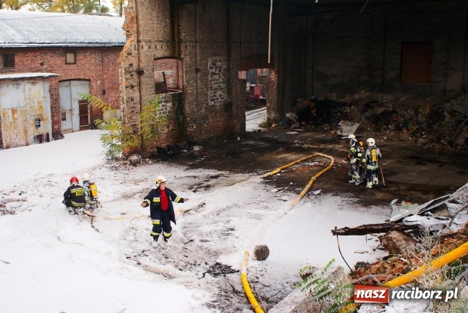 Zdjęcie w galerii na portalu naszraciborz.pl: Przy Zakładowej w Brzeziu płoną niebezpieczne odpady. Zwożono je tu od czerwca. Są tam m.in. maski przeciwgazowe FOTO wiadomości z regionu
