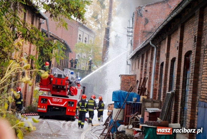 Zdjęcie w galerii na portalu naszraciborz.pl: Przy Zakładowej w Brzeziu płoną niebezpieczne odpady. Zwożono je tu od czerwca. Są tam m.in. maski przeciwgazowe FOTO wiadomości z regionu
