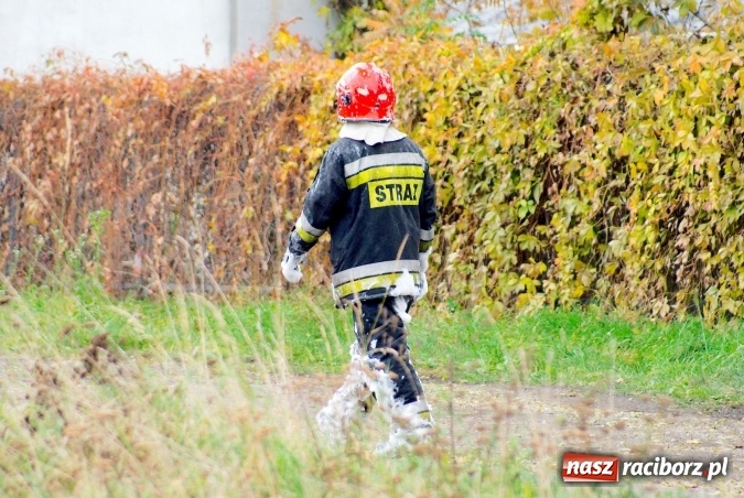 Zdjęcie w galerii na portalu naszraciborz.pl: Przy Zakładowej w Brzeziu płoną niebezpieczne odpady. Zwożono je tu od czerwca. Są tam m.in. maski przeciwgazowe FOTO wiadomości z regionu