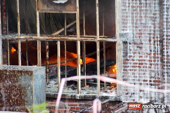 Zdjęcie w galerii na portalu naszraciborz.pl: Przy Zakładowej w Brzeziu płoną niebezpieczne odpady. Zwożono je tu od czerwca. Są tam m.in. maski przeciwgazowe FOTO wiadomości z regionu