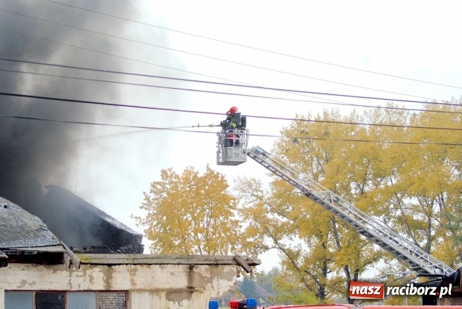 Zdjęcie w galerii na portalu naszraciborz.pl: Przy Zakładowej w Brzeziu płoną niebezpieczne odpady. Zwożono je tu od czerwca. Są tam m.in. maski przeciwgazowe FOTO wiadomości z regionu