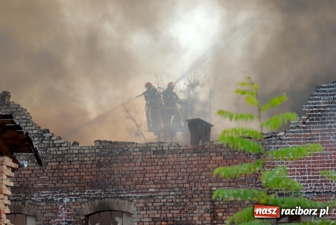 Zdjęcie w galerii na portalu naszraciborz.pl: Przy Zakładowej w Brzeziu płoną niebezpieczne odpady. Zwożono je tu od czerwca. Są tam m.in. maski przeciwgazowe FOTO wiadomości z regionu