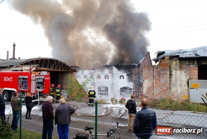 Zdjęcie w galerii na portalu naszraciborz.pl: Przy Zakładowej w Brzeziu płoną niebezpieczne odpady. Zwożono je tu od czerwca. Są tam m.in. maski przeciwgazowe FOTO wiadomości z regionu