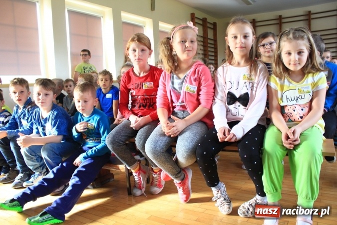 Zdjęcie w galerii na portalu naszraciborz.pl: Dzieci z ZSP nr 2 sadziły żonkile. Założono kolejne pole nadziei wiadomości z regionu