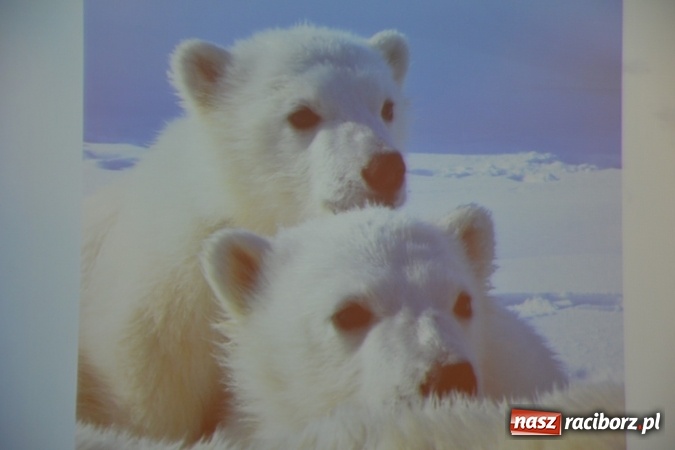 Zdjęcie w galerii na portalu naszraciborz.pl: IX Raciborskie Dni Nauki i Techniki ruszyły na zamku  wiadomości z regionu