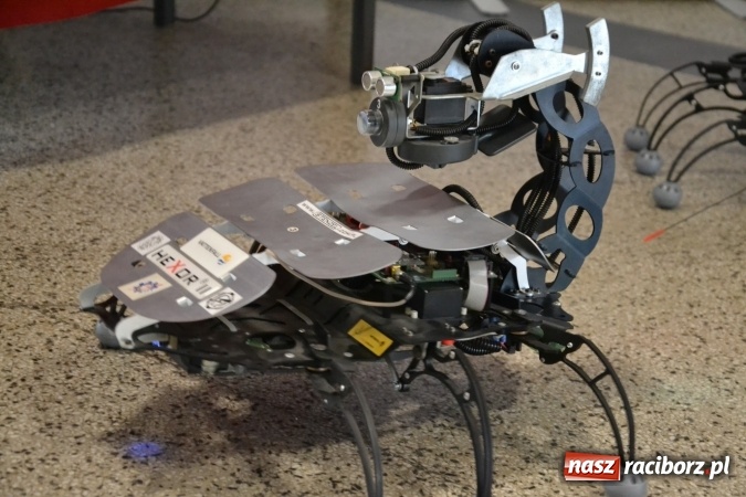 Zdjęcie w galerii na portalu naszraciborz.pl: IX Raciborskie Dni Nauki i Techniki ruszyły na zamku  wiadomości z regionu