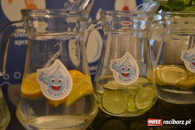 Zdjęcie w galerii na portalu naszraciborz.pl: IX Raciborskie Dni Nauki i Techniki ruszyły na zamku  wiadomości z regionu