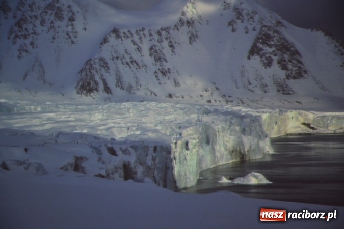 Zdjęcie w galerii na portalu naszraciborz.pl: IX Raciborskie Dni Nauki i Techniki ruszyły na zamku  wiadomości z regionu